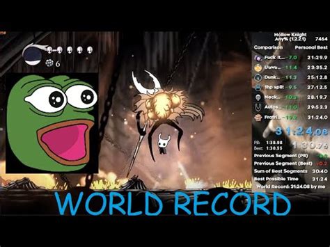 hollow knight any world record